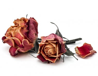 kurutulmuş gül çiçek başları