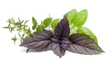 Çeşitli taze ot bırakır