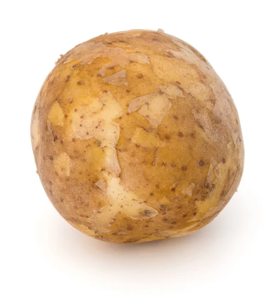 Nuevo tubérculo de patata — Foto de Stock