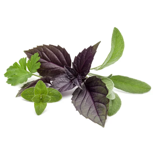 Čerstvé byliny listy odrůdy — Stock fotografie