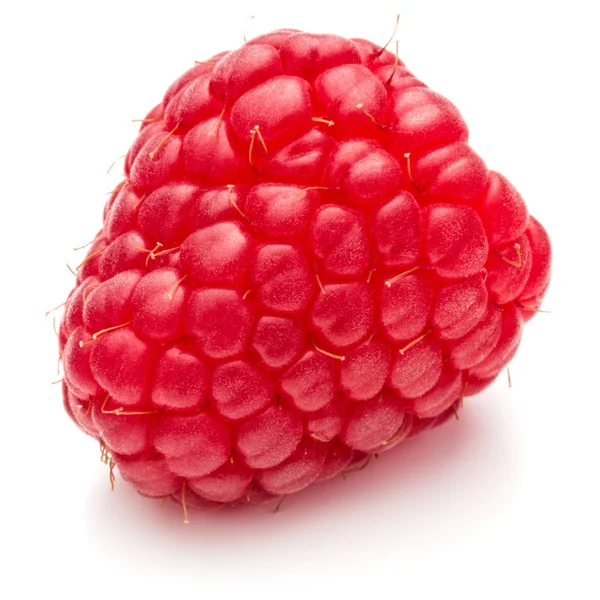 Ripe raspberry  close up — Stock Photo, Image