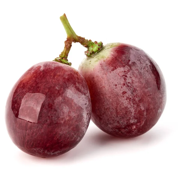 红葡萄浆果束 — 图库照片