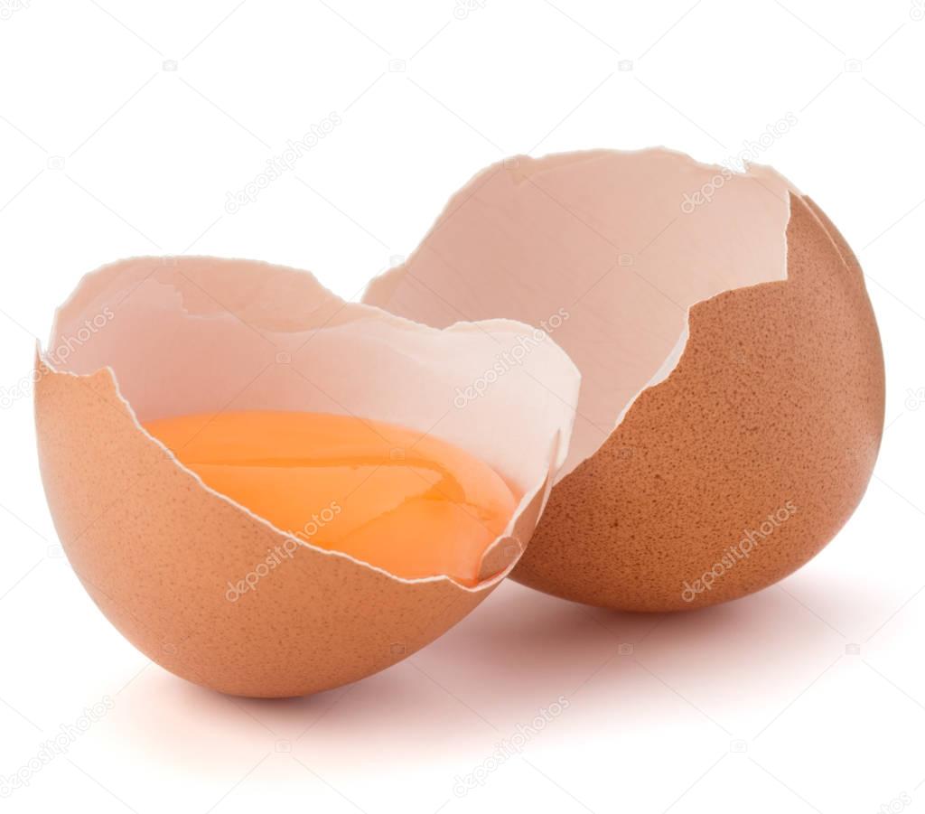 Broken egg  in eggshell half