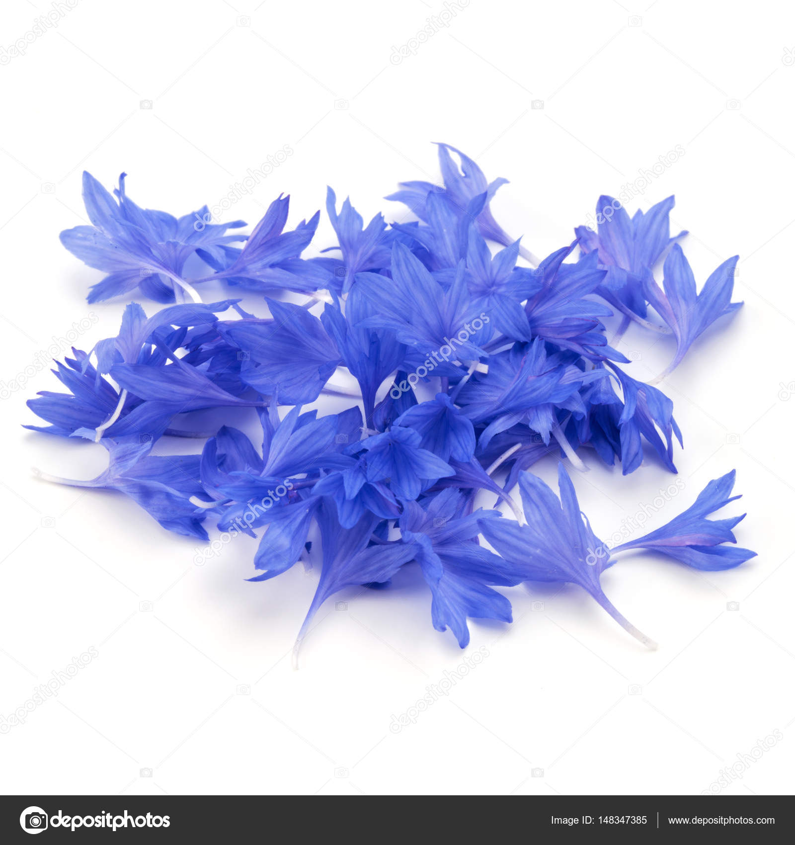 Blue Cornflower petals Stock Photo by ©natika 148347385