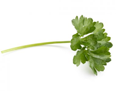 taze maydanoz yaprakları