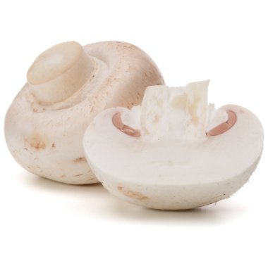 beyaz üzerine taze petrol 