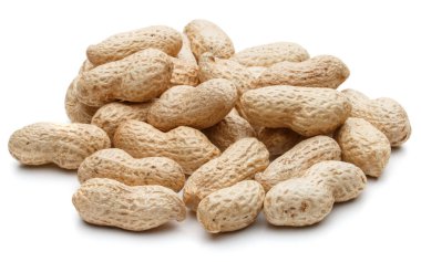 Fıstık pod veya arachis  