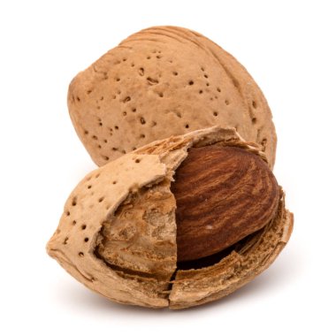 badem fındık kabuğu  