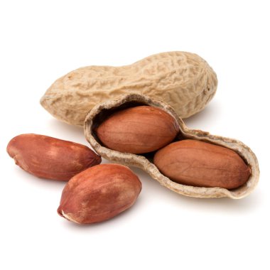 Açılan fıstık veya yer fıstığı pod 