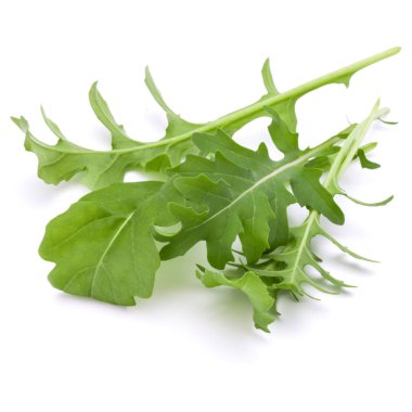 Yeşil taze rucola yaprakları