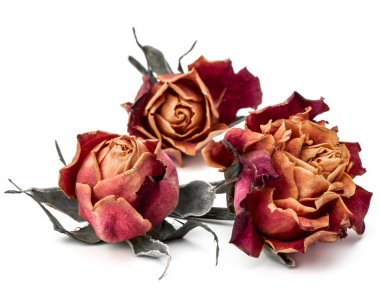 kurutulmuş gül çiçek 