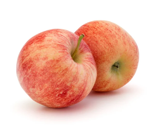 白底红苹果 — 图库照片