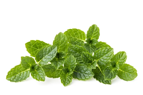 Fresh mint leaves — Stock Photo, Image