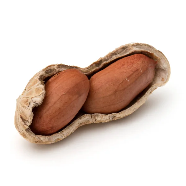 Открытая стручка арахиса или арахиса — стоковое фото