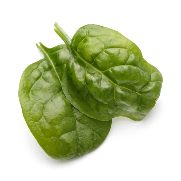 Baby spinach leaves — Stock Photo, Image