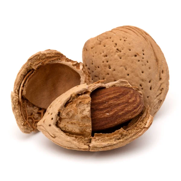 Mandel nötter med skal — Stockfoto