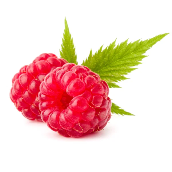 Reife Himbeeren auf weißem Grund — Stockfoto