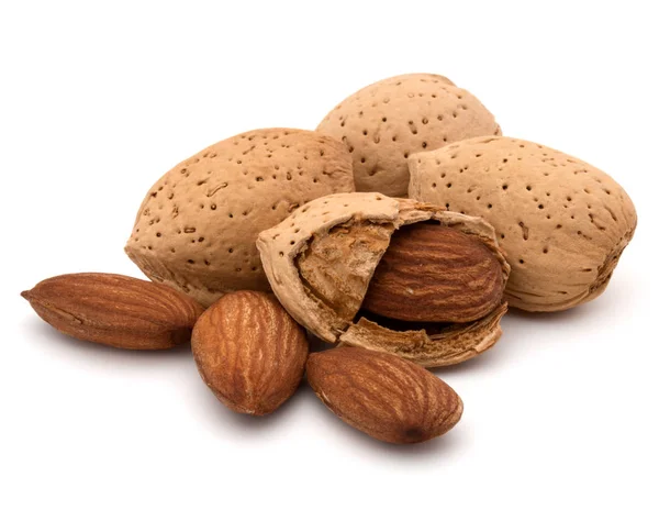 Almond nuts in shell — Stock Photo, Image