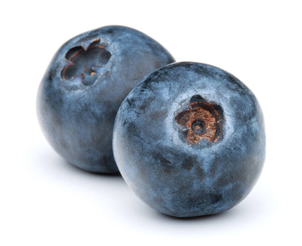 blueberries or blue whortleberries on white
