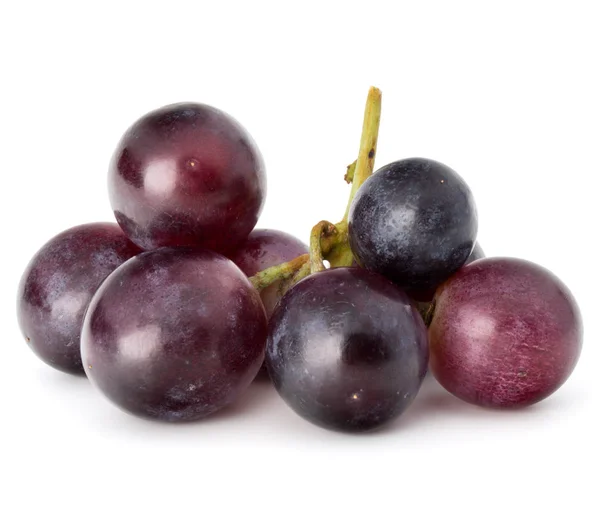 白红葡萄浆果 — 图库照片