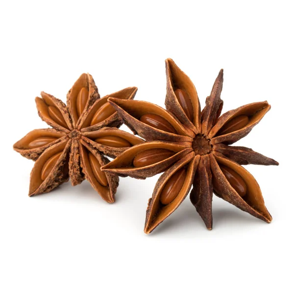 Star anise spice — Stock Photo, Image