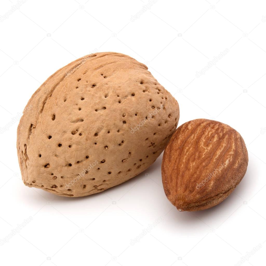 Almond nuts in shell  
