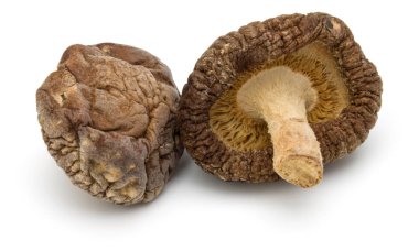 shiitake mantar kurutulmuş