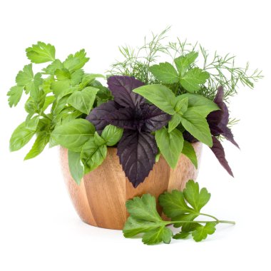 Taze baharatlar ve bitkiler.