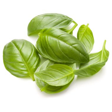 Fesleğen bitki yaprakları