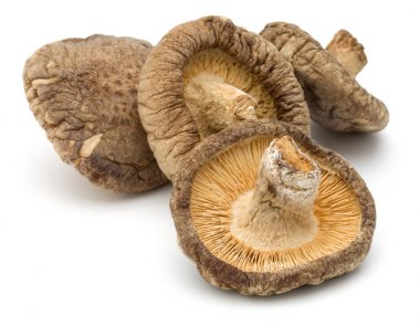 shiitake mantar kurutulmuş