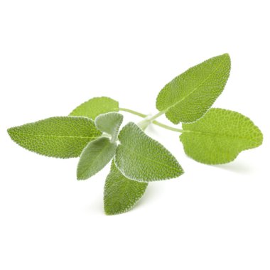 Adaçayı bitki buket bırakır 