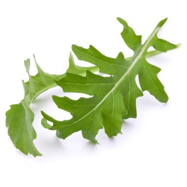  Yeşil taze rucola yaprakları 