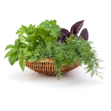 Taze baharatlar ve bitkiler. 