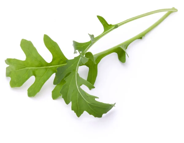 Verse rucola bladeren — Stockfoto