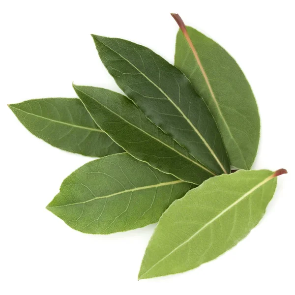 Aromatyczne liście laurowe — Zdjęcie stockowe
