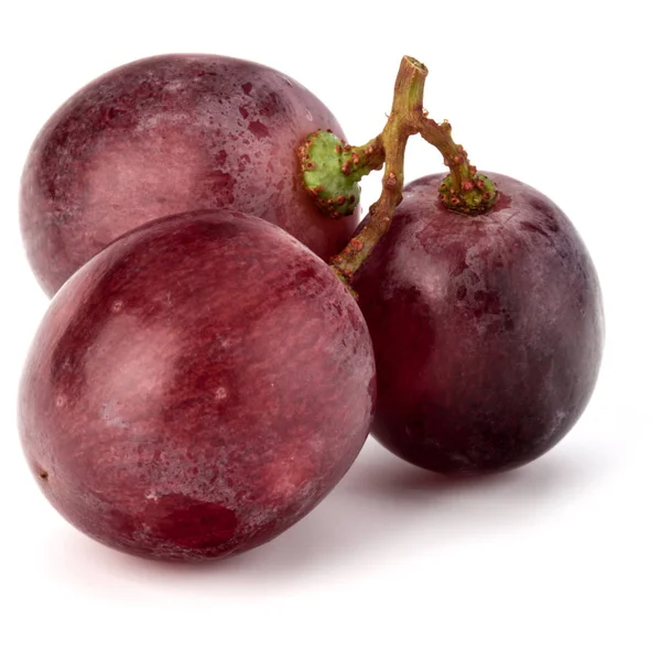 Red grape berries  bunch — Stock Photo, Image