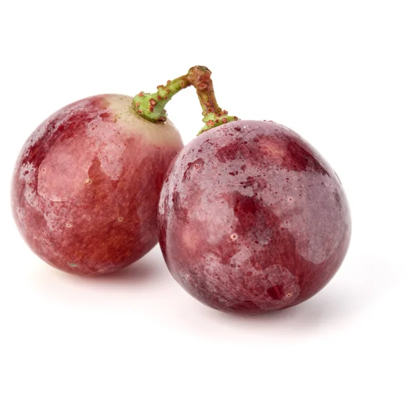 Red grape berries — Stock Photo, Image