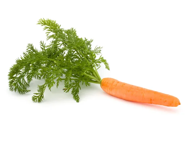Sayuran wortel dengan daun — Stok Foto