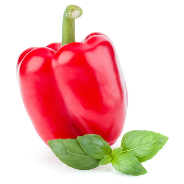 Jedna sladká paprika — Stock fotografie