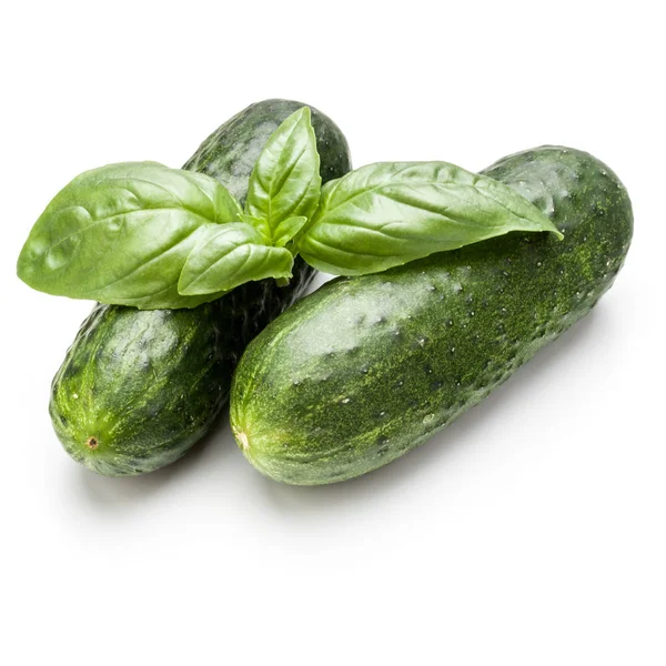 Cucumbers and basil leaves — Stock Photo, Image