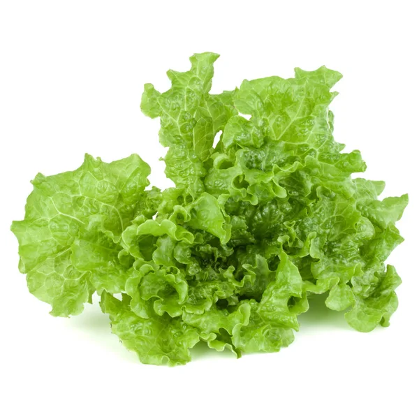 Feuilles de salade de laitue verte fraîche — Photo