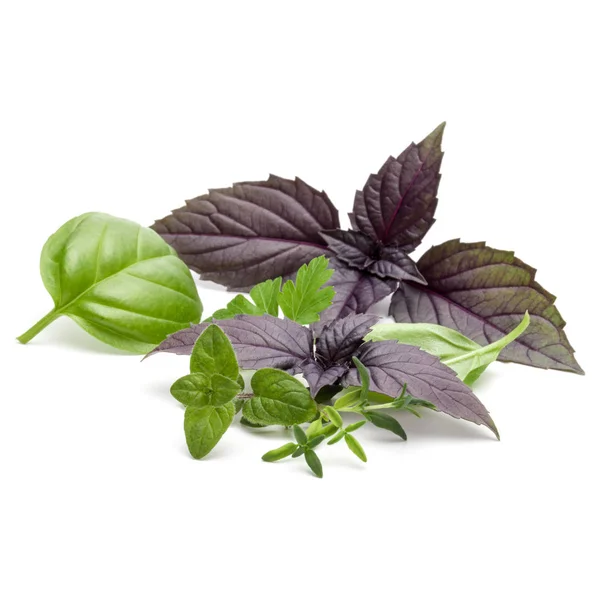 Fresh herb leaves variety i — Stock Photo, Image