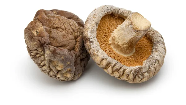 Cogumelos shiitake secos — Fotografia de Stock