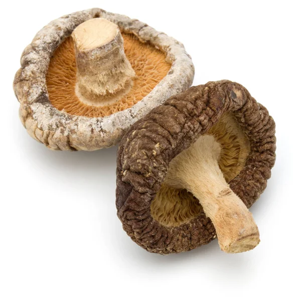 Cogumelos shiitake secos — Fotografia de Stock