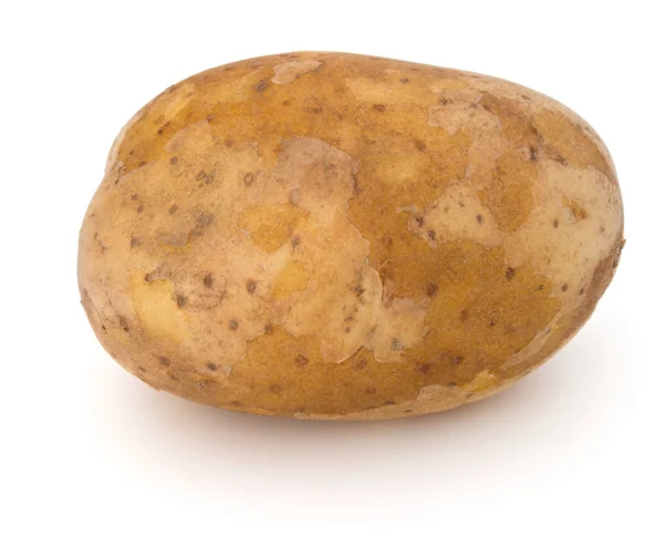 Nuevo tubérculo de patata —  Fotos de Stock