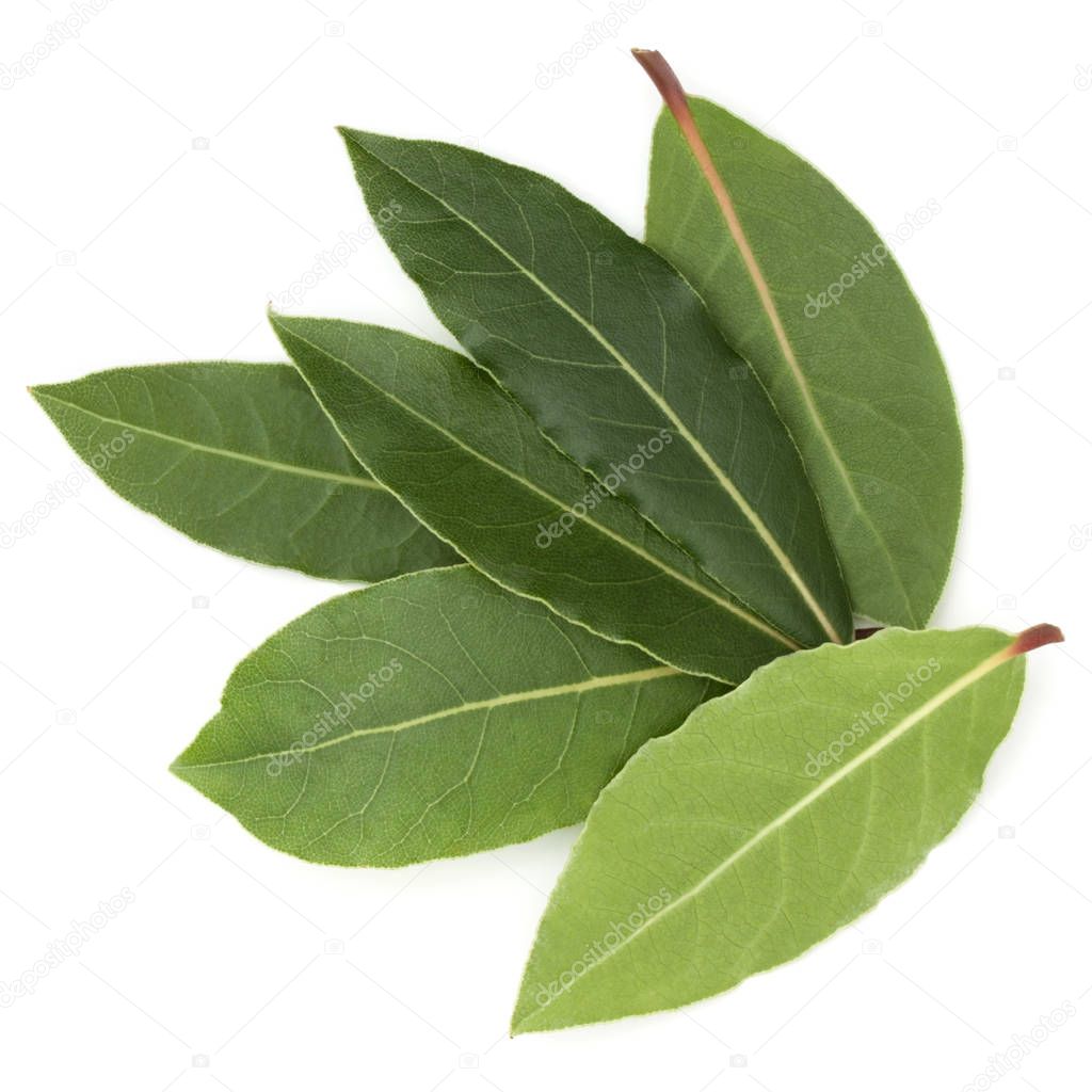 Aromatic bay leaves 