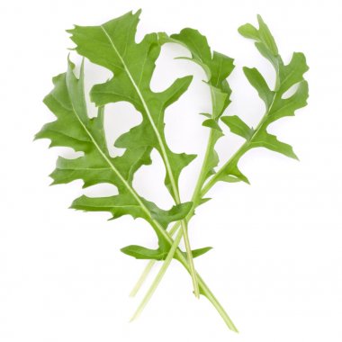 Yeşil taze rucola yaprakları