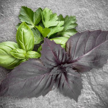 Siyah taş içinde fesleğen yaprakları 