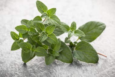 Siyah taş kekik yaprakları