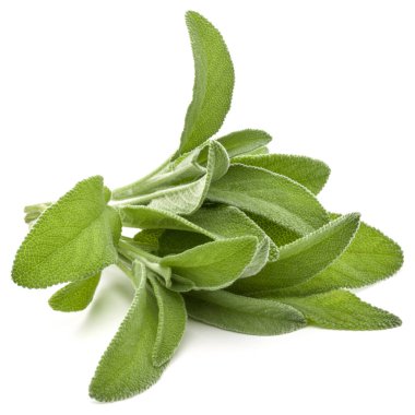 Adaçayı bitki buket bırakır 